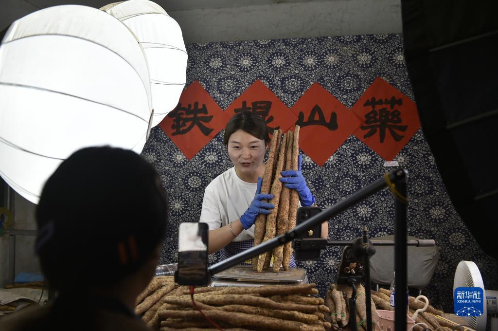 手机捕鱼注册送分
